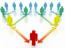 Cơ cấu tổ chức